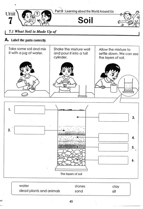 soil study year 3